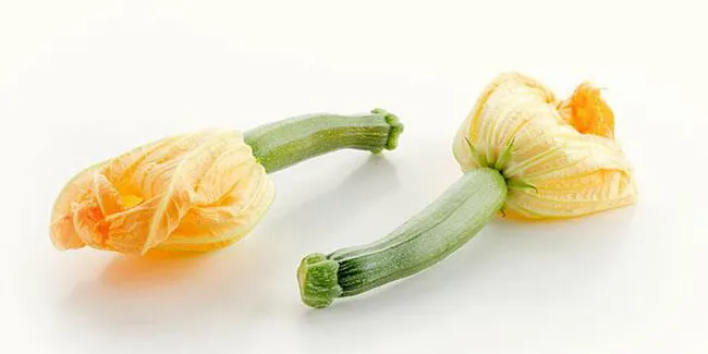 Courgettebloemg eetbare bloemetjes