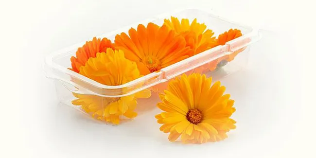 Goudsbloemen eetbare bloemetjes