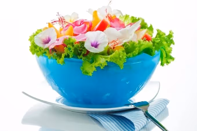 Enkele van onze favoriete eetbare bloemetjes op een rij