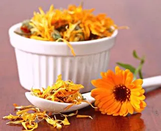 Goudsbloem kopen? Een lekkernij, geneesmiddel en natuurlijke verf!