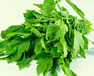 Lavas: van sauzen en soepen tot stoofpotten