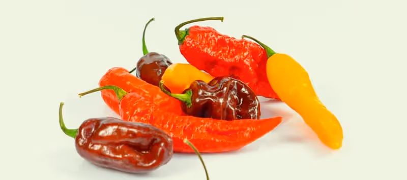 Naga Jolokia: de heetste peper ter wereld?