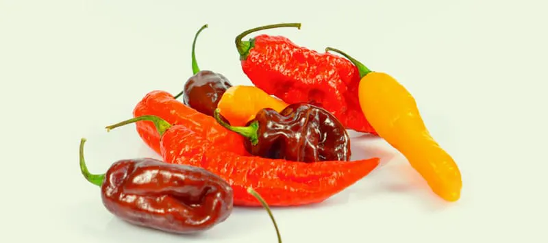 Naga Jolokia: de heetste peper ter wereld?