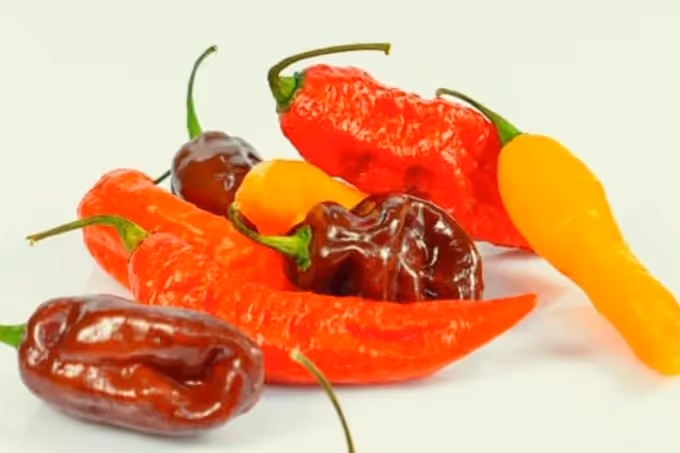 Naga Jolokia: de heetste peper ter wereld?