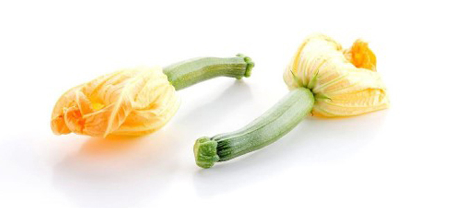 Courgettebloem