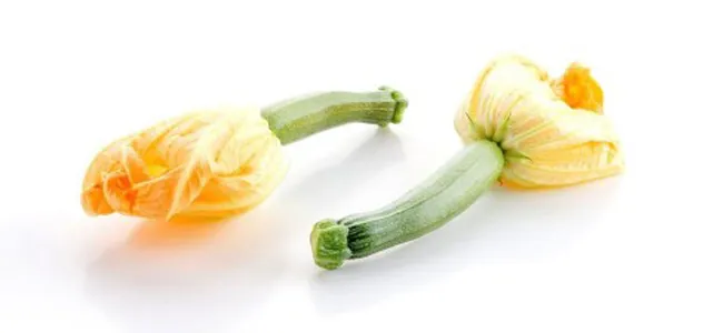 Courgettebloem