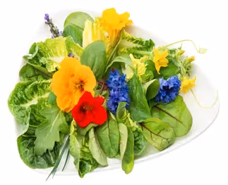 Onze persoonlijke lijst van de 4 meest smaakvolle eetbare bloemen