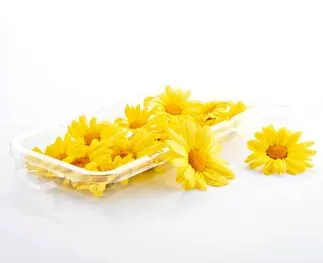 Gele madeliefjes kopen: versier je gerechten!