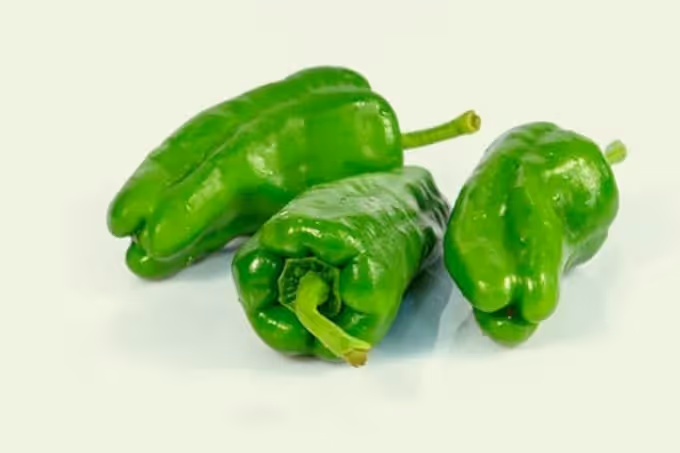 Pimientos de padrón: fingerfood met pit
