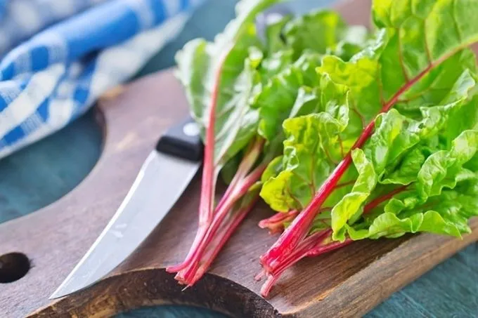 Red chard: het onbekende neefje van spinazie