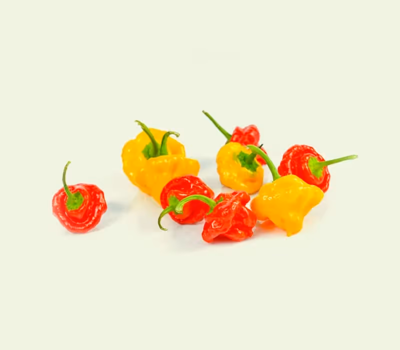 Scotchbonnet: het heetste uit de Caraïben