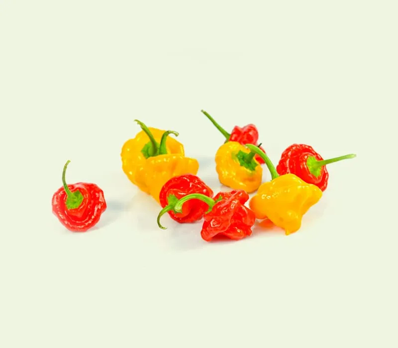 Scotchbonnet: het heetste uit de Caraïben