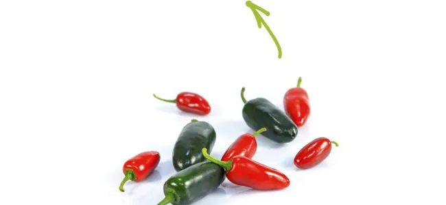 Jalapeno