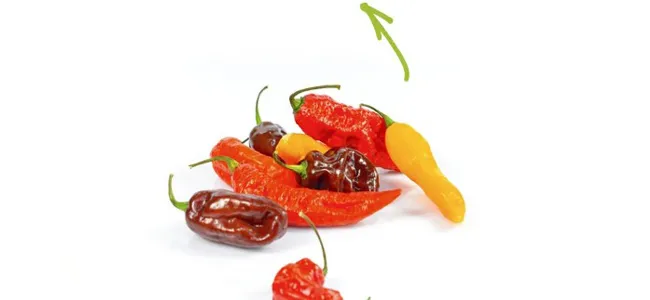 Naga jolokia