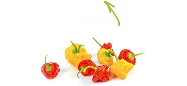 Scotch bonnet