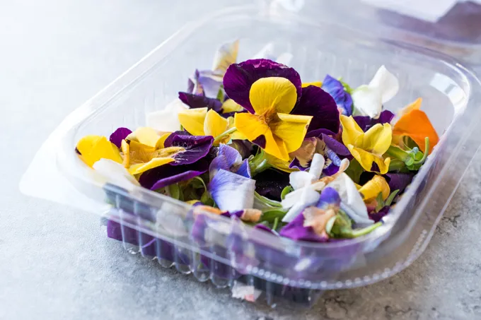 Waar kan ik het beste eetbare bloemen online bestellen?
