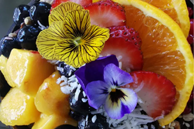 Waarom eetbare bloemen zo gezond zijn