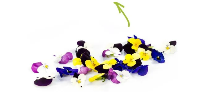 Viooltjes