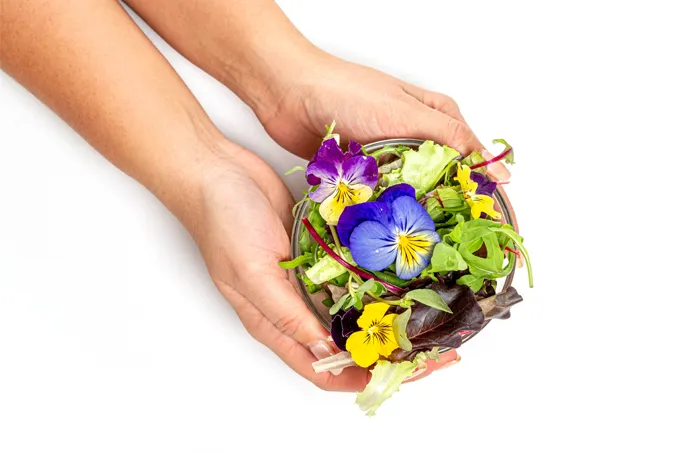 Welke bloemen kun je eten?