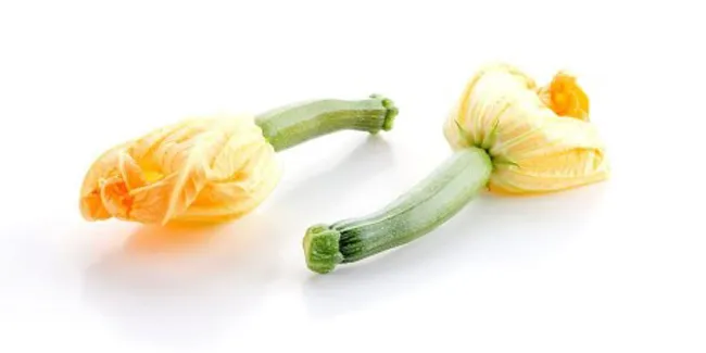 Courgettebloem