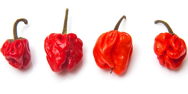 Scotchbonnet pepers