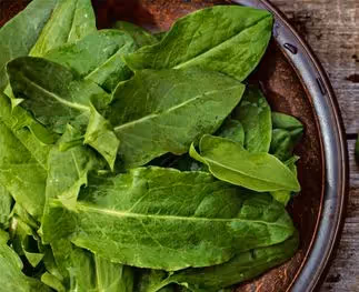 Zuring kopen? Overheerlijk in jouw salades!
