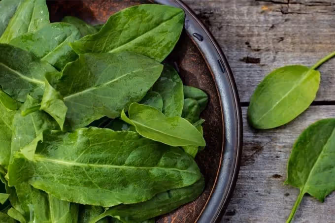 Zuring kopen? Overheerlijk in jouw salades!