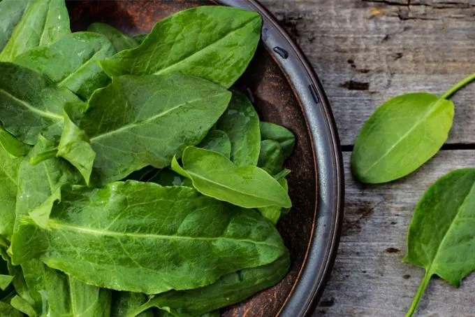 Zuring kopen? Overheerlijk in jouw salades!