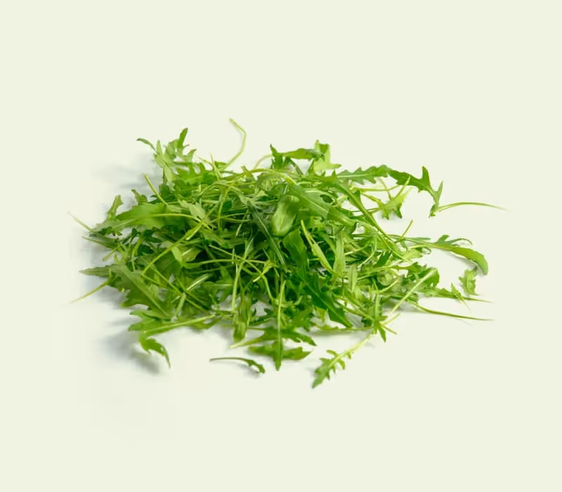 Zomers slaatje: welke salades kan je gebruiken?