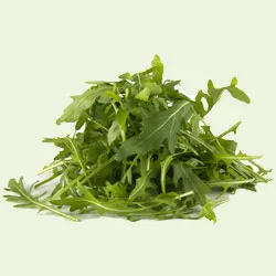 Roquette