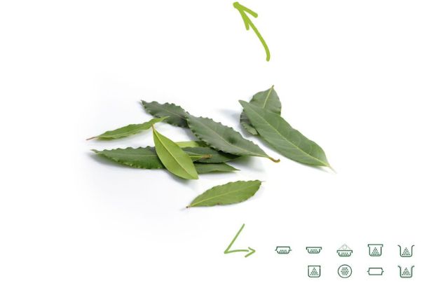 Bay leaves
