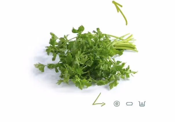 Persil plat