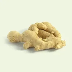 Ginger