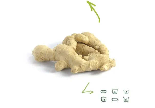 Gingembre
