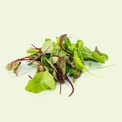 Mesclun Salad