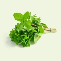 Mint