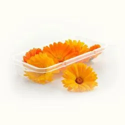 Pot Marigold
