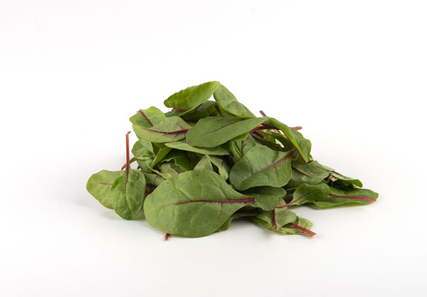 Red chard