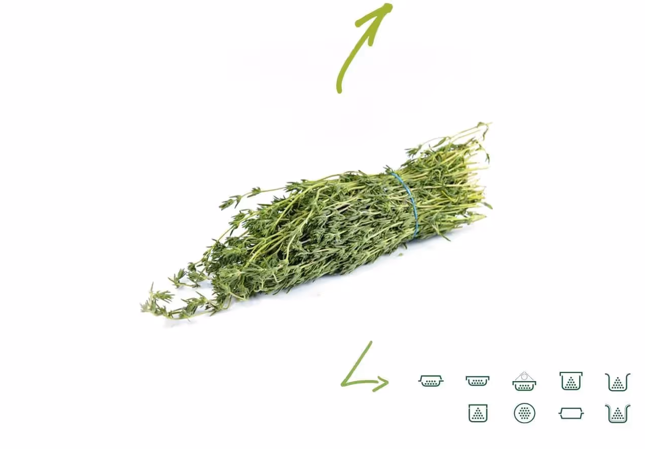 Savory