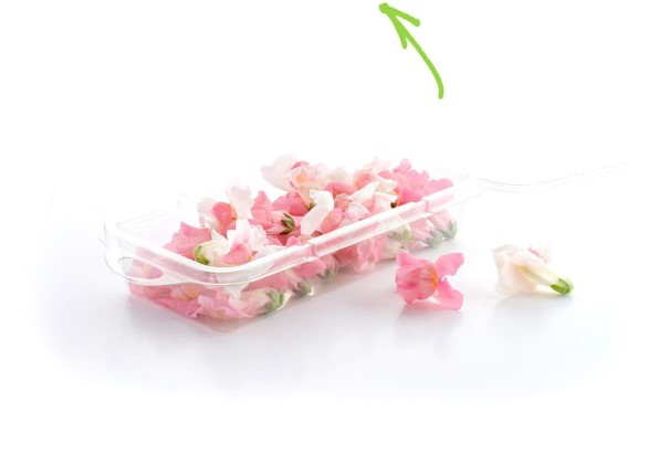 Snapdragons