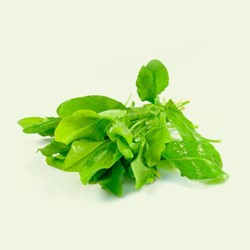 Sorrel