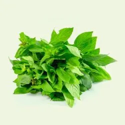 Thai Basil