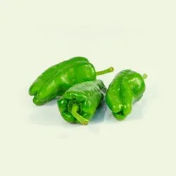 Pimiento De Padron