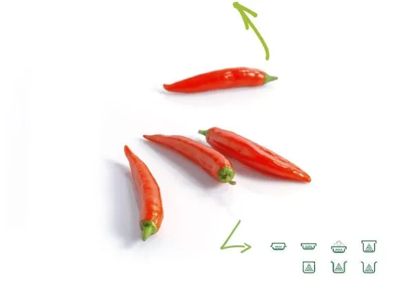Piment de Cayenne rouge et vert