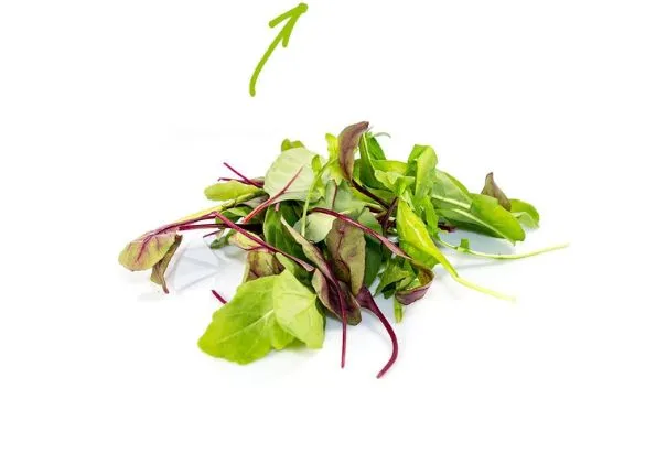 Mesclun salade