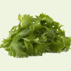 Mizuna groen Viva Italia 8x125g