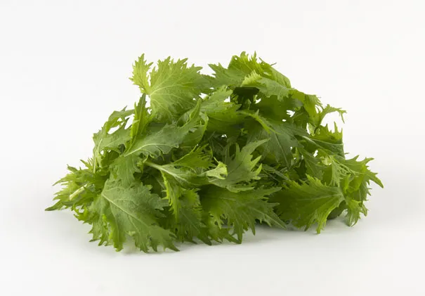 Mizuna groen Viva Italia 8x125g