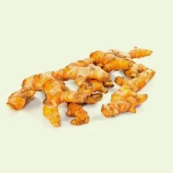 Curcuma