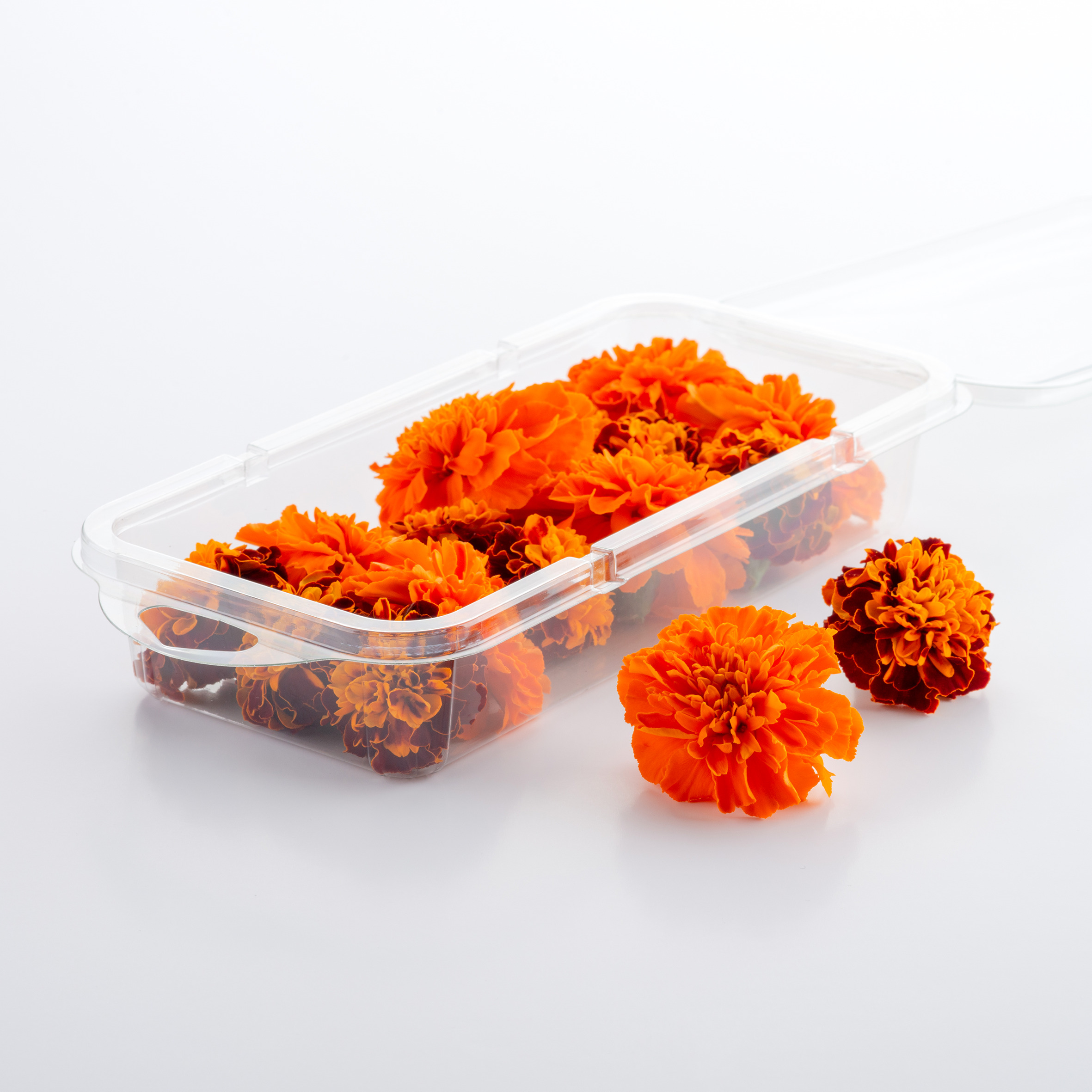 Marigolds