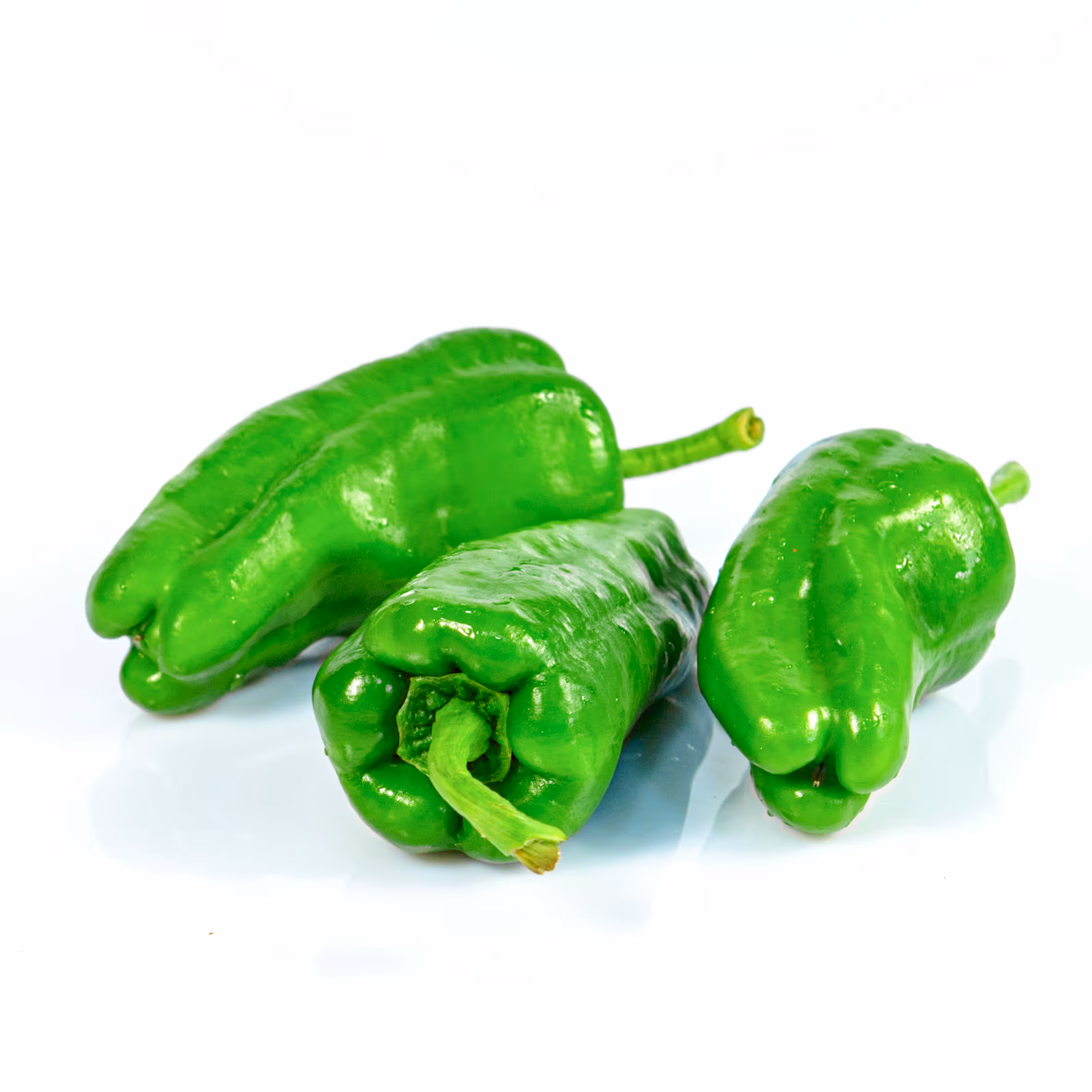 Piment de Padrón